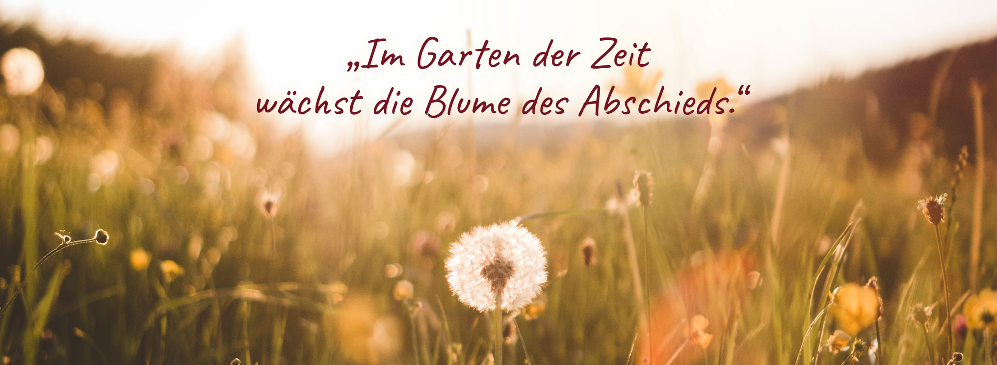 Bild zum Thema Willkommen bei Bauschke Bestattungen